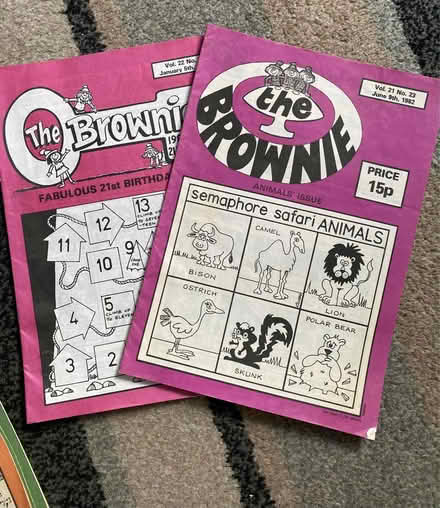 Photo of free Brownie books & pins (Jennetts park RG12) #4