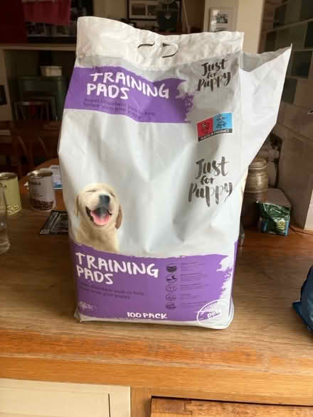 Photo of free Puppy training pads (Dore S17) #1