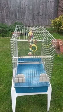 Photo of free Birdcage (Grundisburgh IP13) #1