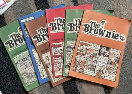Photo of free Brownie books & pins (Jennetts park RG12) #3