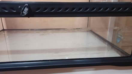 Photo of free Exo Terra Terrarium 60cm x 45cm x 90cm (w x d x h) (Stonehouse GL10) #3