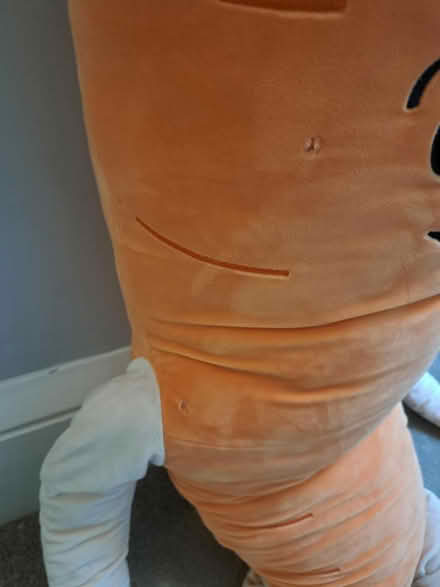 Photo of free Huge Kevin the carrot (Heywood OL10) #2