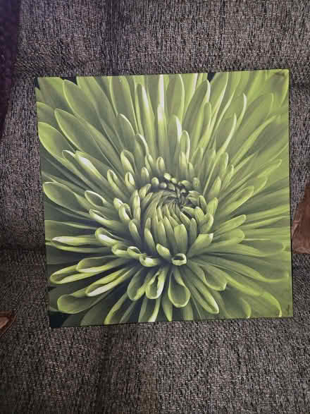 Photo of free Green canvas (Chichester PO19) #1