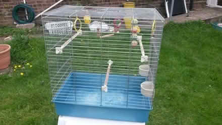 Photo of free Birdcage (Grundisburgh IP13) #2