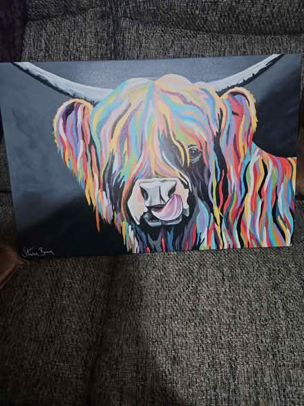Photo of free Highland cow canvas (Chichester PO19) #1