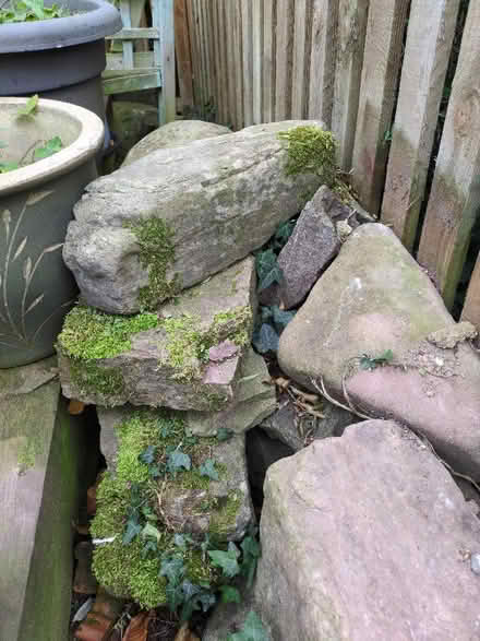 Photo of free Rockery Rocks? (Bronllys LD3) #3