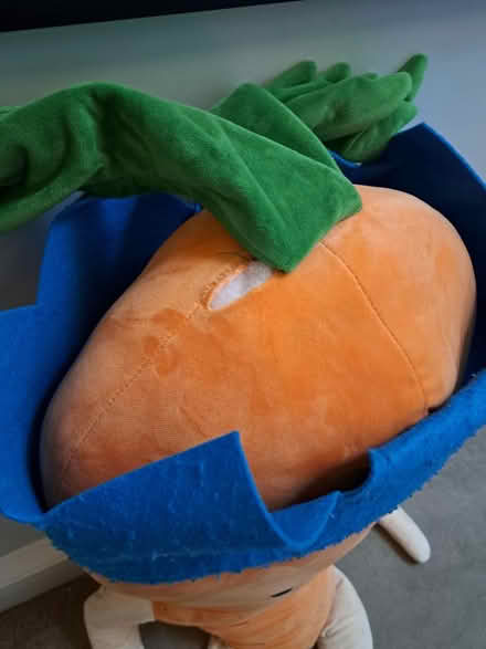 Photo of free Huge Kevin the carrot (Heywood OL10) #3