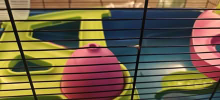 Photo of free Savic Hamster Cage 80cm length (Kidderminster DY10) #3