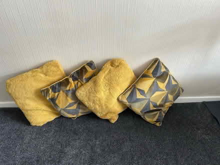 Photo of free Cushions (High Green S35) #1