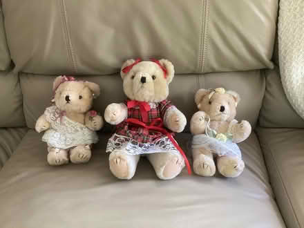 Photo of free 3 Cute Bears (Laurel Avenue/Takolusa Dr.) #1