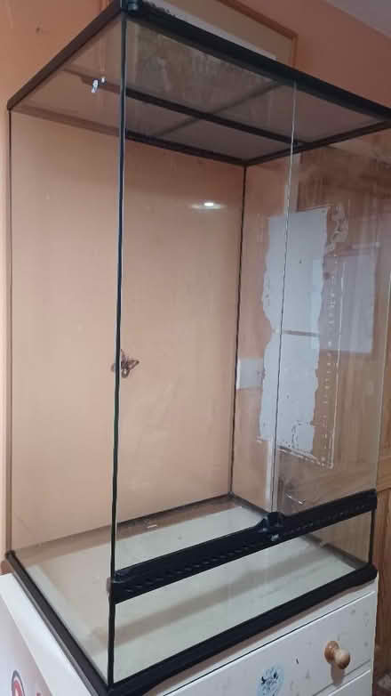 Photo of free Exo Terra Terrarium 60cm x 45cm x 90cm (w x d x h) (Stonehouse GL10) #1