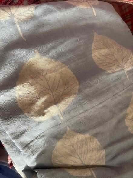 Photo of free Fabric (Rubery B45) #3