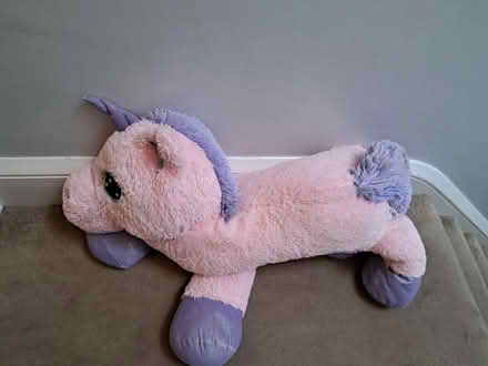 Photo of free unicorn (Heywood OL10) #1