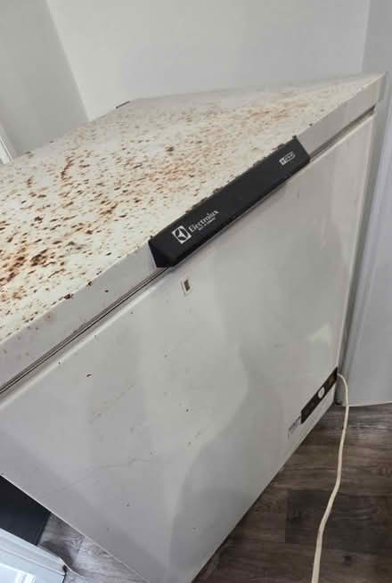 Photo of free Freezer not working need repairs (Hanley ST1) #3