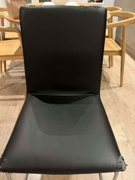 Photo of free Dining Chairs (Stratford E15) #1