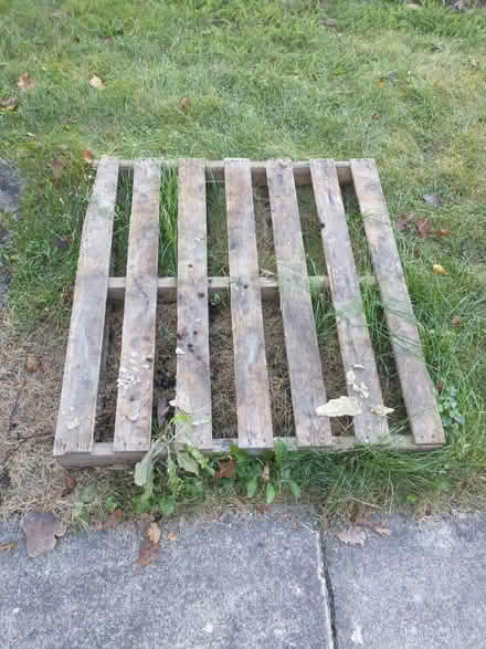Photo of free 2 Wood Pallets (Bolingbrook) #3