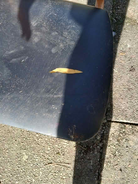 Photo of free Padded wooden chair (kendal LA9) #3