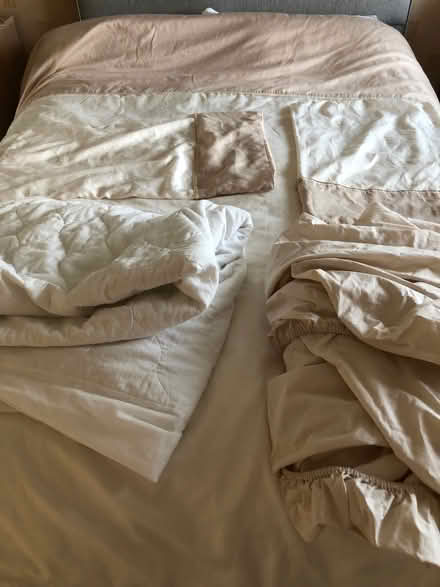 Photo of free Duvet set king size (Cox Green SL6) #3