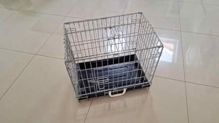 Photo of free Dog / Cat carrier (Ashtead KT21) #1