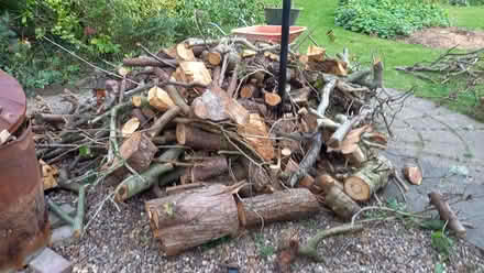 Photo of free Wood / Logs (Swineshead PE20) #1