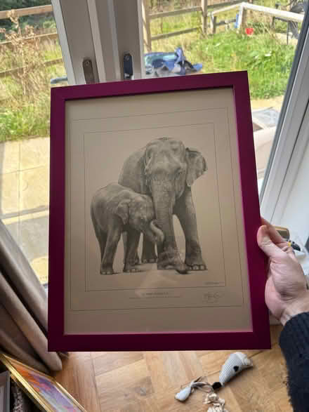 Photo of free A3 elephant picture pink frame (Wisewood S6) #1