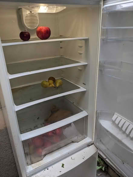 Photo of free Retro fridge freezer (BA2) #3