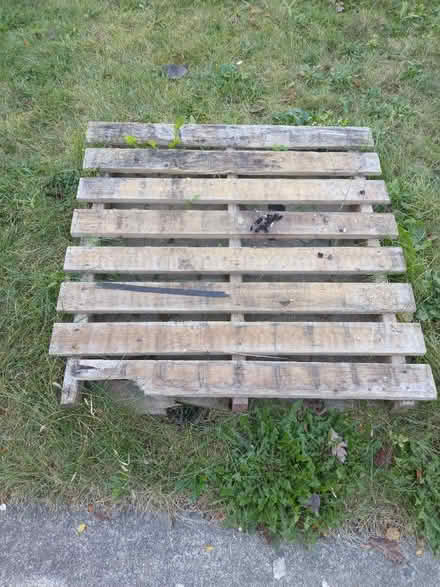 Photo of free 2 Wood Pallets (Bolingbrook) #2