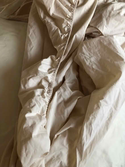 Photo of free Duvet set king size (Cox Green SL6) #2