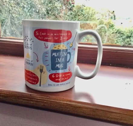 Photo of free mug fir 'muffin in a mug' (Sandbach Heath CW11) #1