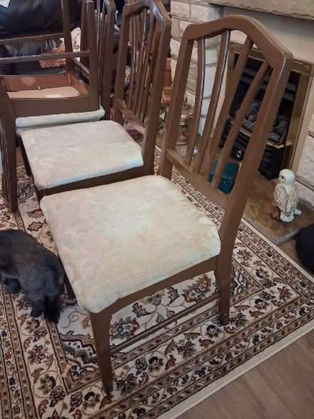 Photo of free Dining Chairs (Fordham CO6) #2