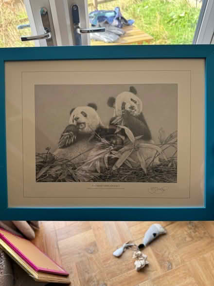 Photo of free A3 panda picture blue frame (Wisewood S6) #1