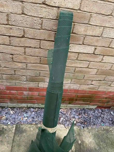 Photo of free Greenhouse netting (Filsham TN38) #1