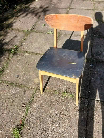 Photo of free Padded wooden chair (kendal LA9) #1