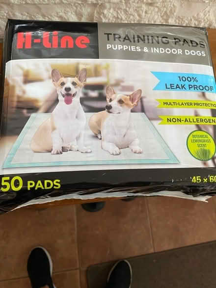 Photo of free Puppy pads (Belper DE56) #1