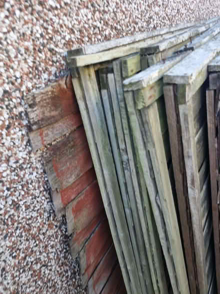 Photo of free Double Lap Fence panels (Glasshoughton WF10) #2