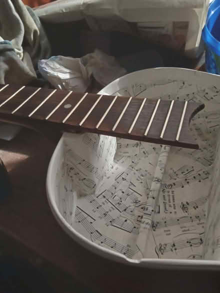 Photo of or broken guitars (Brigg DN20) #1