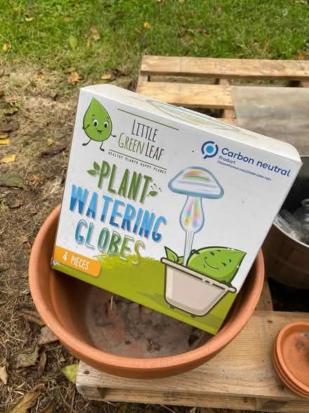 Photo of free Plant pots (Ijamsville 21754) #2