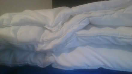 Photo of free silentnight duvet (BA2) #1