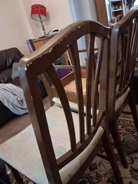 Photo of free Dining Chairs (Fordham CO6) #3
