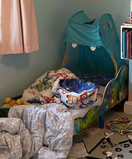 Photo of free Toddler dinosaur bed plus mattress (Sw209) #1