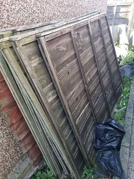 Photo of free Double Lap Fence panels (Glasshoughton WF10) #1