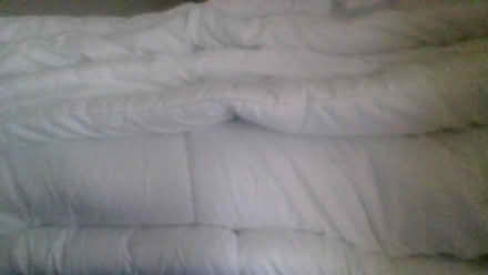 Photo of free Asda George 13.5 tog duvet 220 cm (BA2) #1