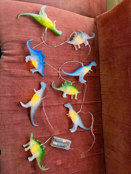 Photo of free Dinosaur fairy lights (Stroud) #1