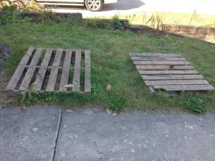 Photo of free 2 Wood Pallets (Bolingbrook) #1