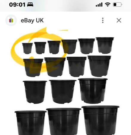 Photo of plastic plant pots (Shawbirch TF1) #2