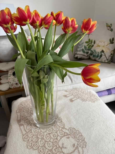 Photo of free Large glass vase (Beaconsfield HP9) #1