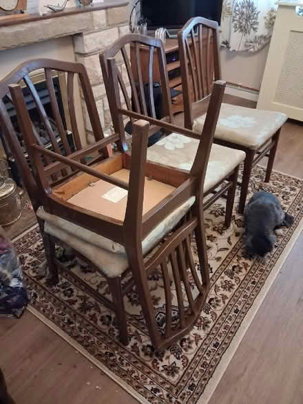 Photo of free Dining Chairs (Fordham CO6) #1