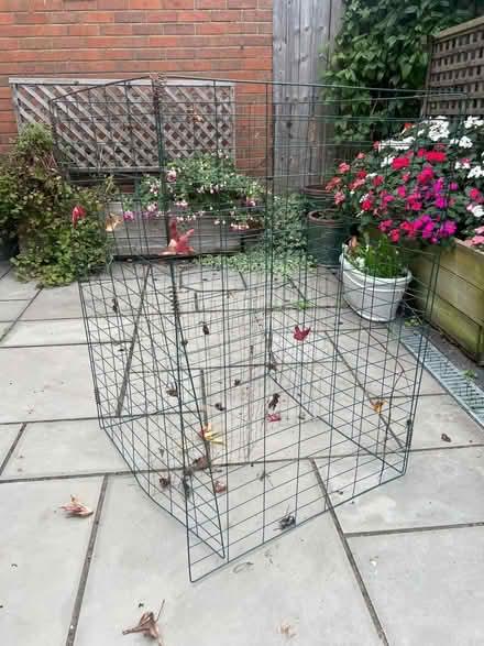 Photo of free Leaf cage (Lower Earley RG6) #1