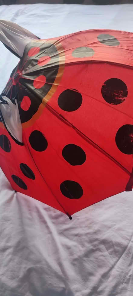Photo of free ladybug umbrella (Walton) #1