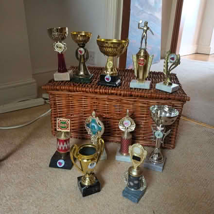 Photo of free Selection of trophies (Horsforth LS18) #1